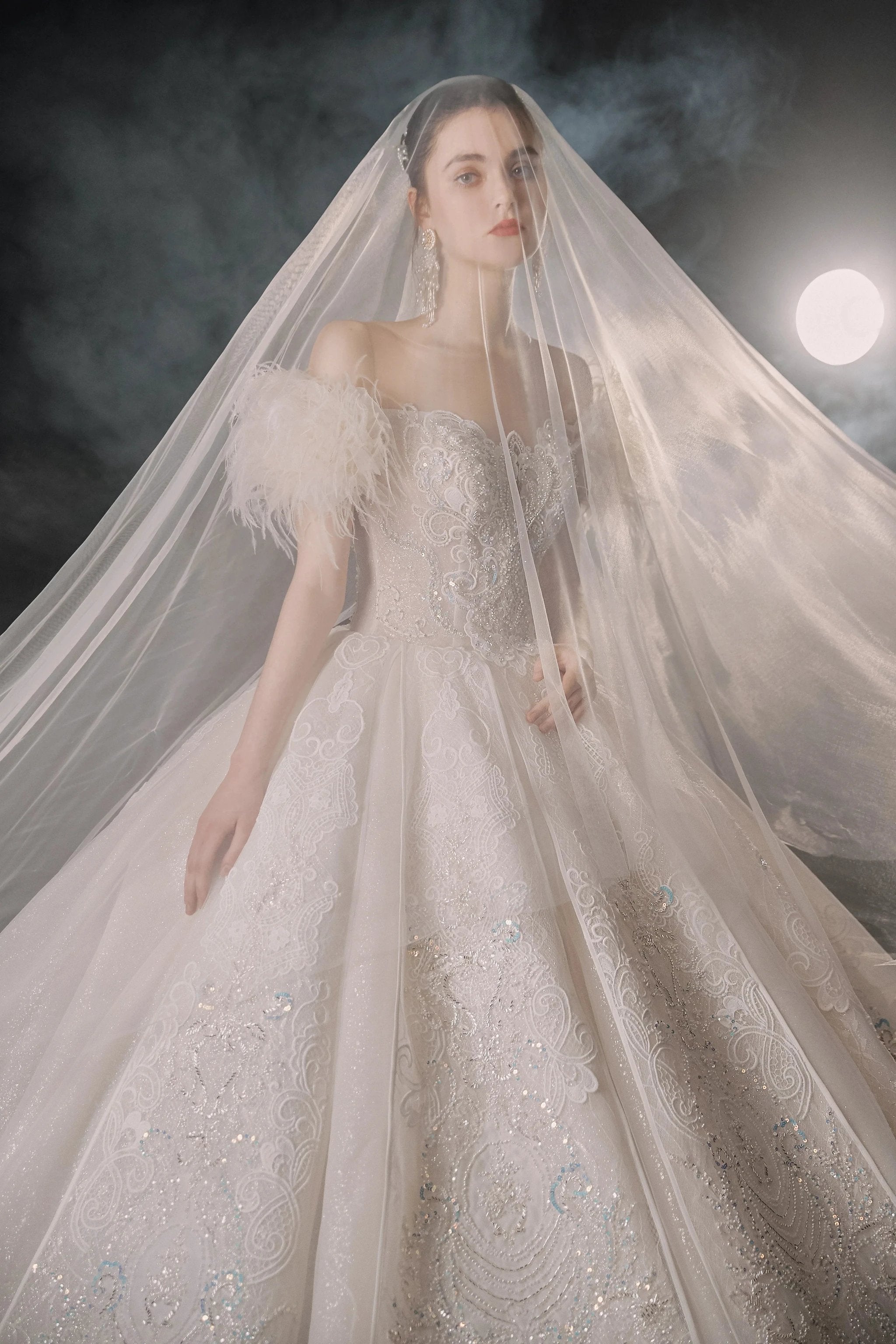 Luxurious Off-the-Shoulder Ball Gown Sweetheart Neckline Feather Trim Beaded Lace Wedding Dress with Glitter Train E-306