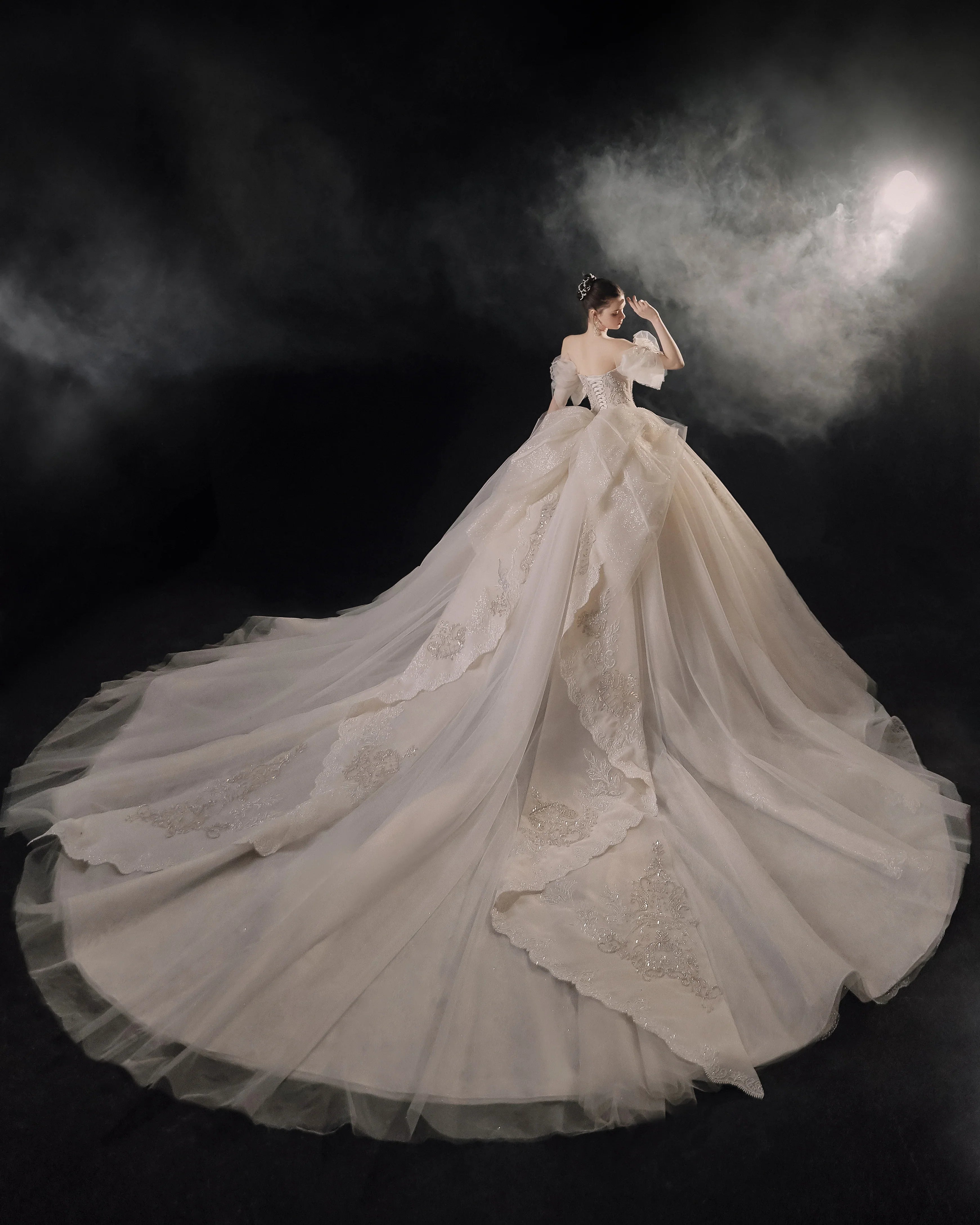 Elegant Off-the-Shoulder Ball Gown Sweetheart Neckline Tulle Puff Sleeve Beaded Lace Wedding Dress with Scalloped Train E-306