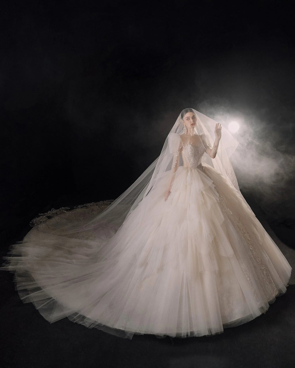 Magnificent Off-the-Shoulder Ball Gown Sweetheart Neckline Tulle Puff Sleeve Beaded Lace Long-Sleeve Wedding Dress with Layered Train E-301