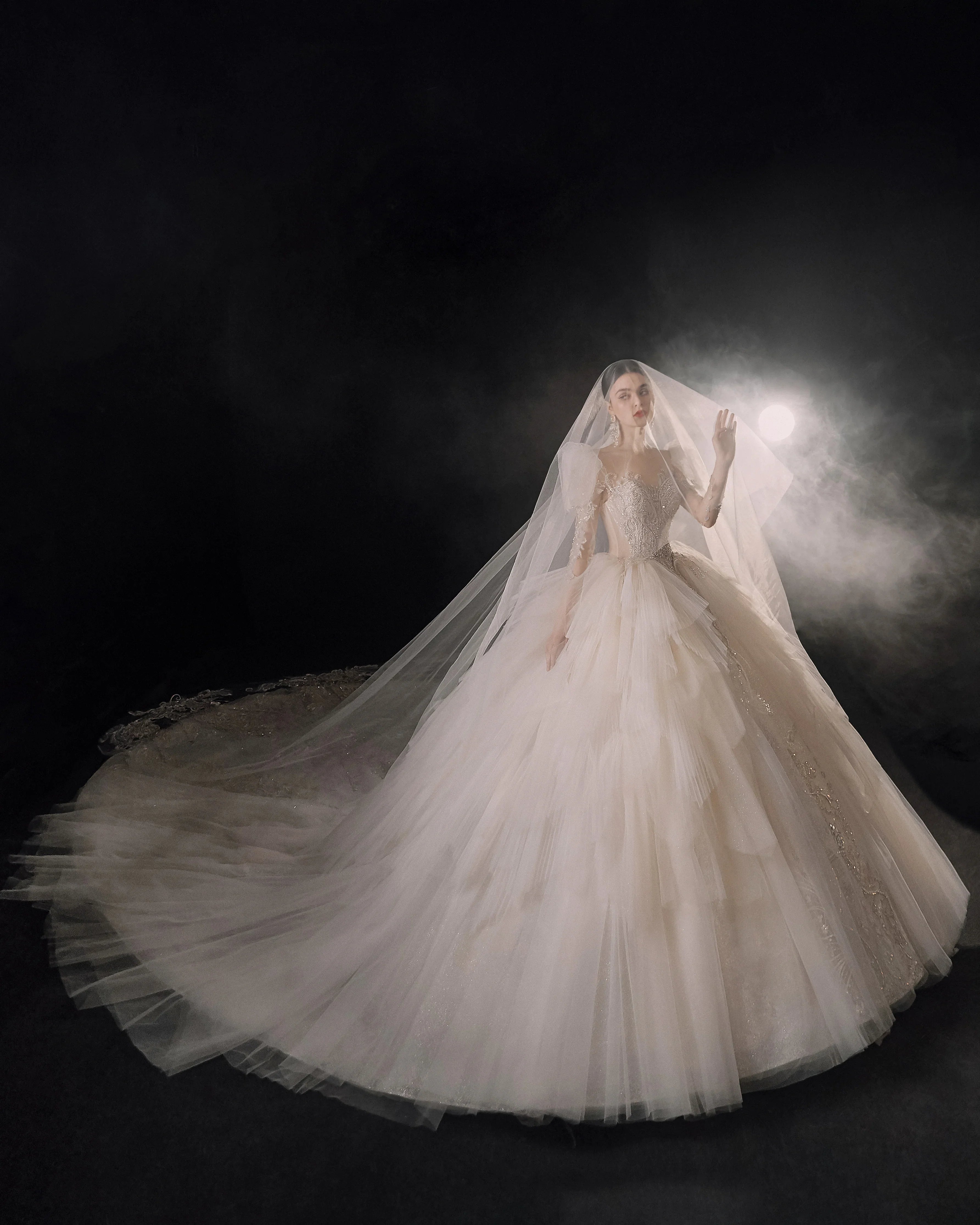 Magnificent Off-the-Shoulder Ball Gown Sweetheart Neckline Tulle Puff Sleeve Beaded Lace Long-Sleeve Wedding Dress with Layered Train E-301