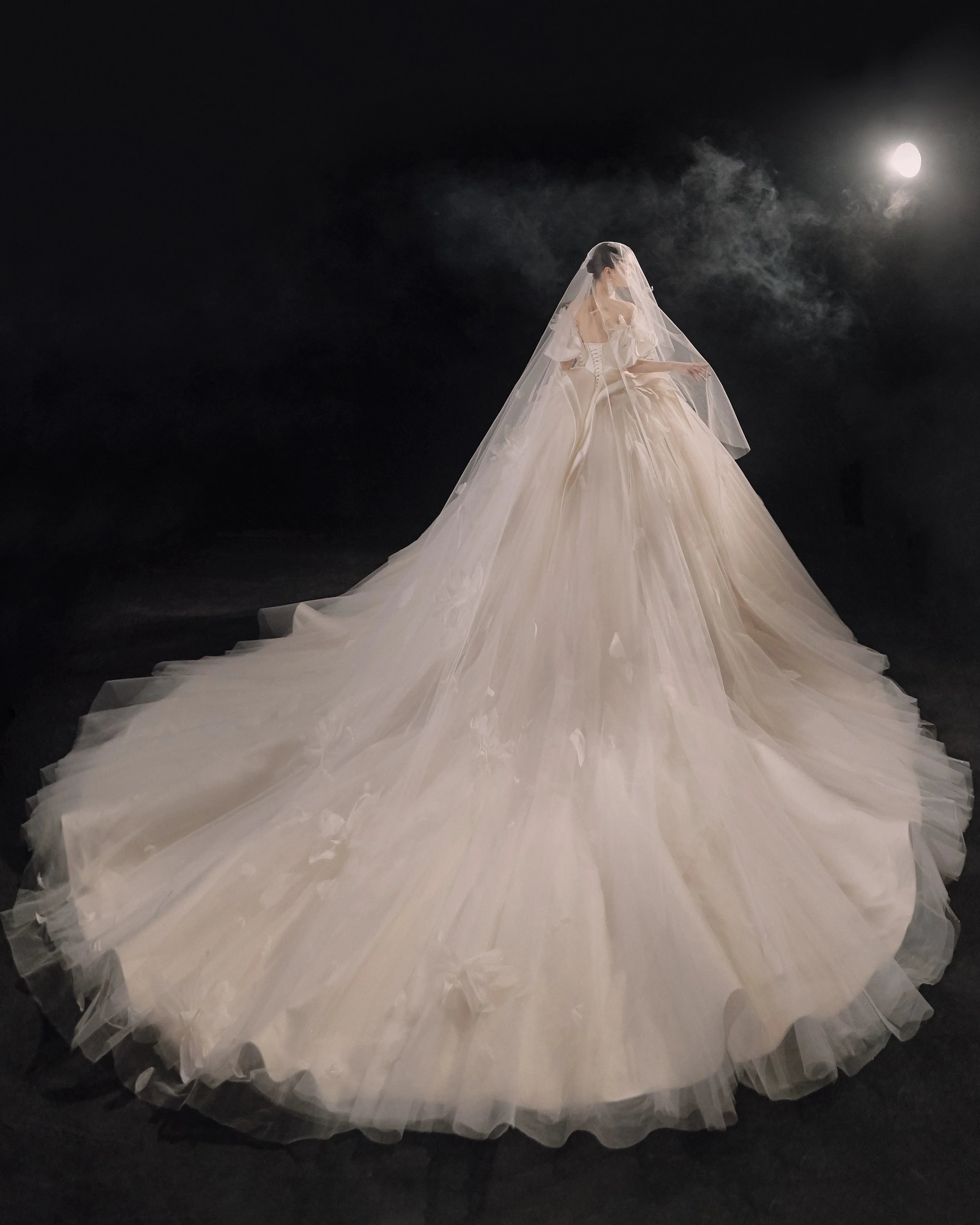 Lavish Sweetheart Ball Gown Satin Puff Sleeve Feather Trim Beaded Wedding Dress with Flowing Train E-302