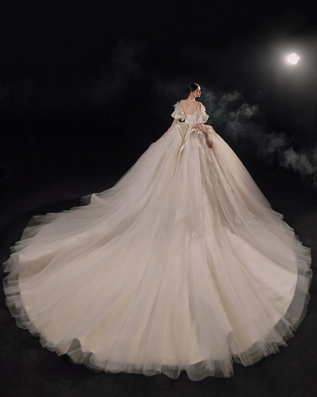 Lavish Sweetheart Ball Gown Satin Puff Sleeve Feather Trim Beaded Wedding Dress with Flowing Train E-302