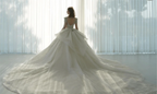 Dazzling Ball Gown Deep V-Neck Tulle Wedding Dress with Beaded Embroidery & Illusion Cut-Out Back Q-6022