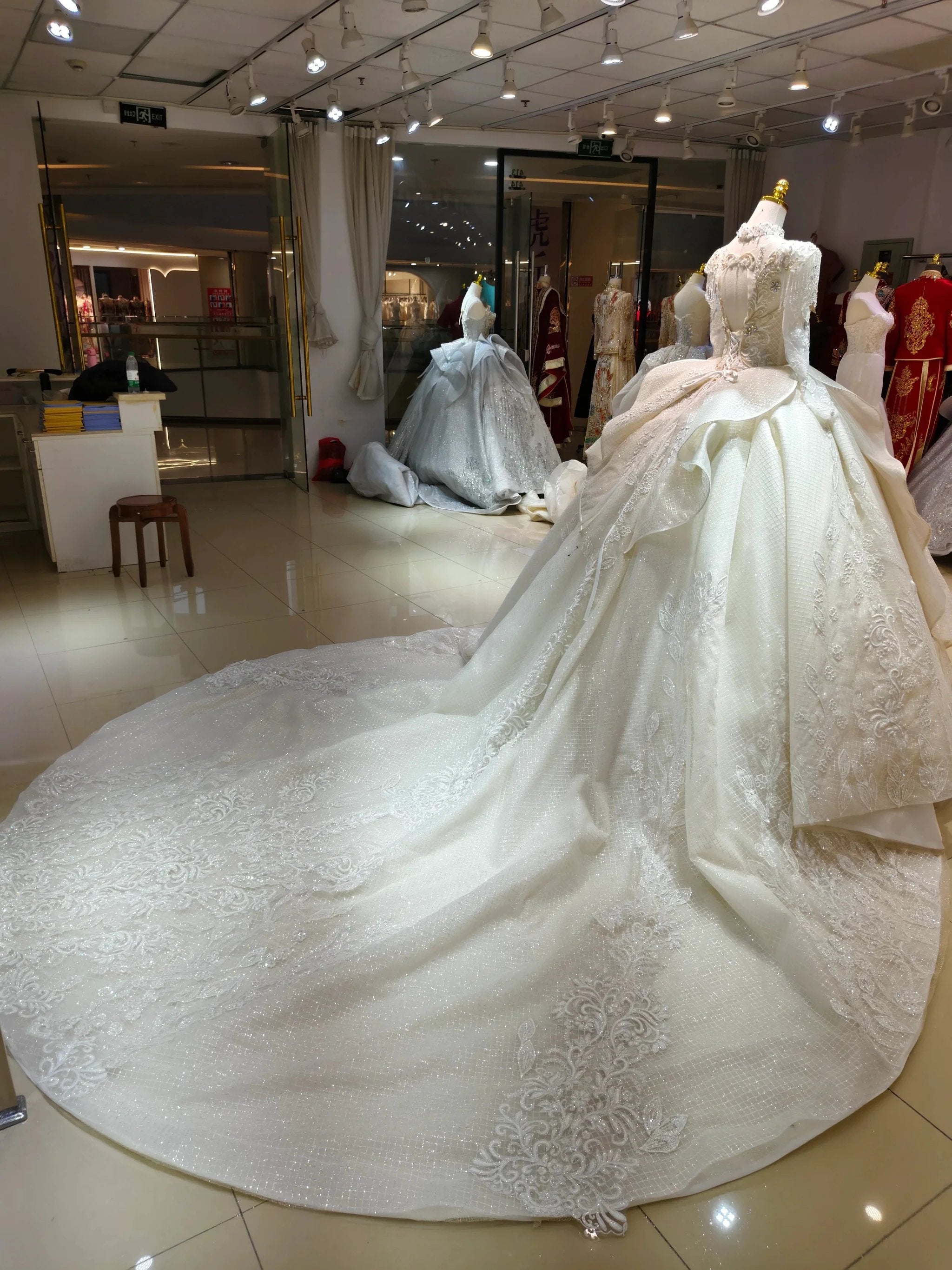 Ivory Gilded Butterfly Ballgown Crystal-Embroidered Bust & Fringed Collar