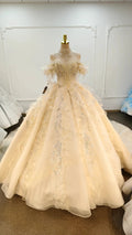 Cream Shimmer Off-Shoulder Ballgown Crystal-Embroidered Skirt & Fringed Collar