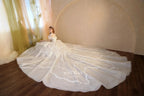 Luminous Ivory Sweetheart Glitter Tulle Ball Gown with Ruffled Sleeves, Pearl Embroidery & Lace Train M013