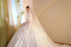 Luminous Ivory Sweetheart Glitter Tulle Ball Gown with Ruffled Sleeves, Pearl Embroidery & Lace Train M013
