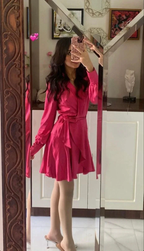 Elegant A-line Long Sleeves Party Dress Homecoming Dress Y5678