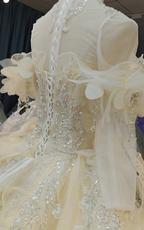 Cream Shimmer Off-Shoulder Ballgown Crystal-Embroidered Skirt & Fringed Collar