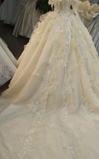 Cream Shimmer Off-Shoulder Ballgown Crystal-Embroidered Skirt & Fringed Collar
