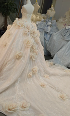 Romantic Blush Ball Gown Strapless 3D Rose Embellished Beaded Wedding Dress with Sparkling Train Ye-2019