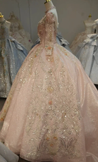Lavish Blush Pink High-Neck Ball Gown Wedding Dress with Beaded Fringe & 3D Floral Embroidery Ye-2026
