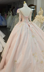 Lavish Blush Pink High-Neck Ball Gown Wedding Dress with Beaded Fringe & 3D Floral Embroidery Ye-2026