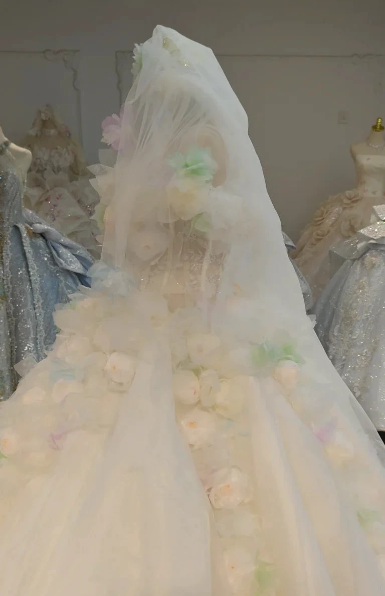 Whimsical Sweetheart Ball Gown Wedding Dress with 3D Pastel Florals & Sheer Tulle Train Ye-2039