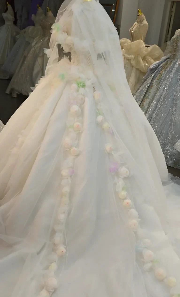 Whimsical Sweetheart Ball Gown Wedding Dress with 3D Pastel Florals & Sheer Tulle Train Ye-2039