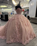 Pink Lace Long Prom Dresses, Ball Gown Sweet 16 Dresses Y5471
