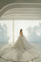 Luminous Ball Gown Illusion Neck Tulle Wedding Dress with Crystal Beaded Embroidery & Bow Back Train Q-6023