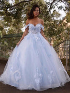 Ball Gown Tulle Applique Off-the-Shoulder Sleeveless Prom Dresses