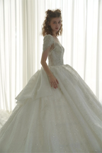 Luminous Ball Gown Illusion Neck Tulle Wedding Dress with Crystal Beaded Embroidery & Bow Back Train Q-6023
