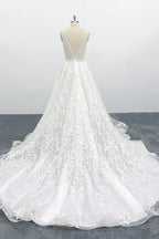 Elegant V-neck Appliques Tulle A-line Wedding Dress