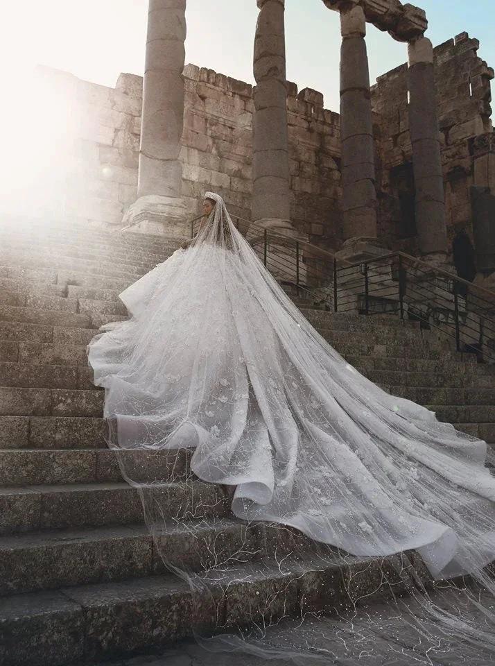 Gorgeous Beading Floral Bridal Wears Sheer Neck Long Sleeves Princess Wedding Dress