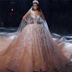 Gorgeous Beading Floral Bridal Wears Sheer Neck Long Sleeves Princess Wedding Dress