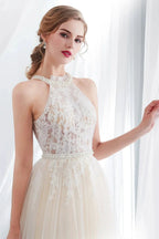 Long A-line Halter Appliques Lace Tulle Evening Dresses