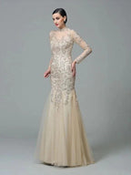 Sheath/Column High Neck Applique Long Sleeves Long Net Prom Dresses